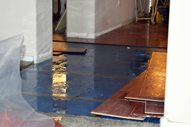 Professional Basement Flood Cleanup technician working in Edison, GA